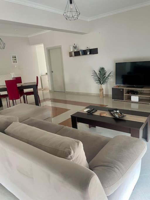 Apartment Mr. Sergio *